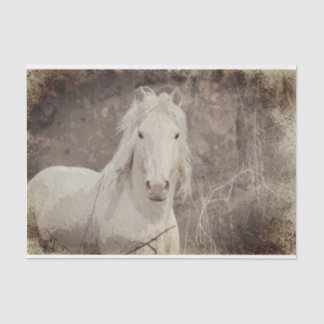 Broadfoot Stallion 18 ob. Dekopapier Seidenpapier