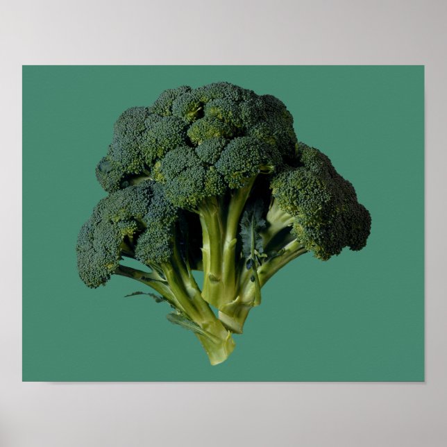 Broccoli 14" x 11", Value Poster Paper (Matte) (Vorne)