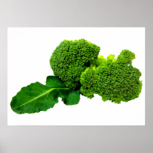 Broccoli 28" x 20", Value Poster Paper (Matte)
