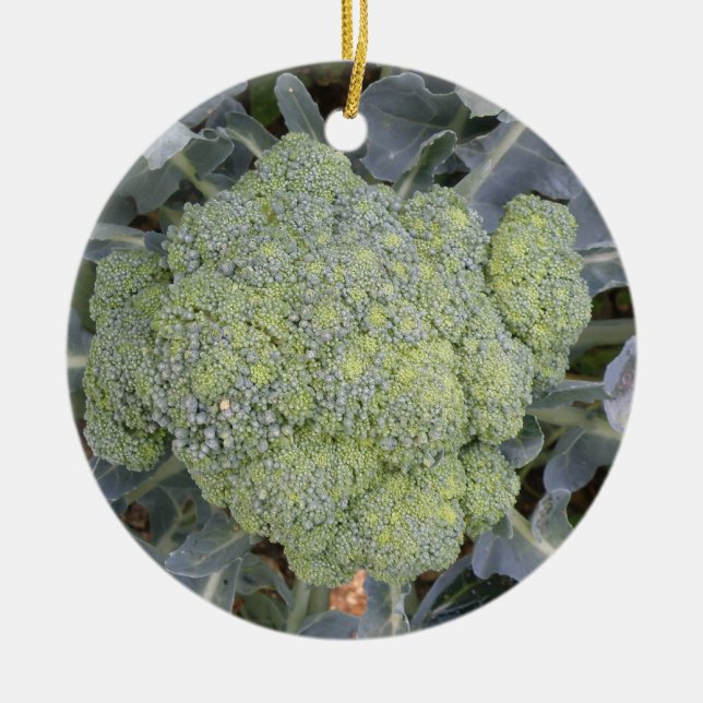 Broccoli Custom Geburtstag Keramikornament (Vorne)