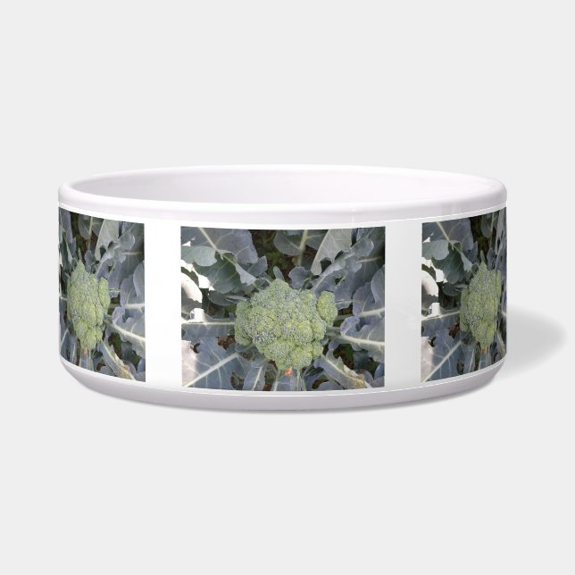 Broccoli Dog Bowl Napf (Vorderseite)