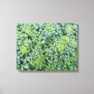 Broccoli Macro Canvas Print Leinwanddruck