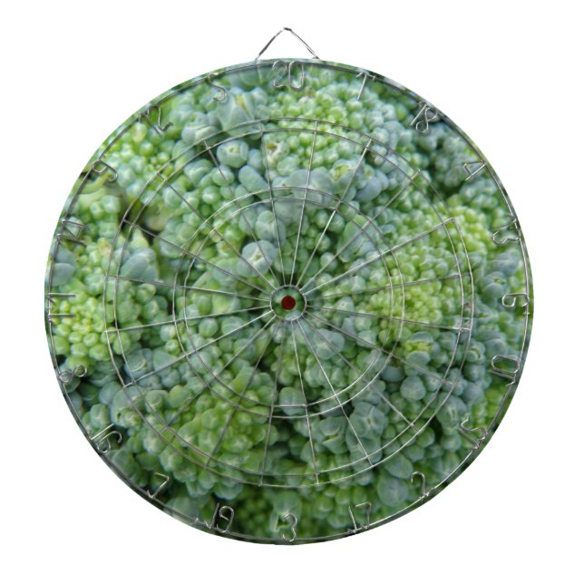 Broccoli Macro Dart Board Dartscheibe (vorne)