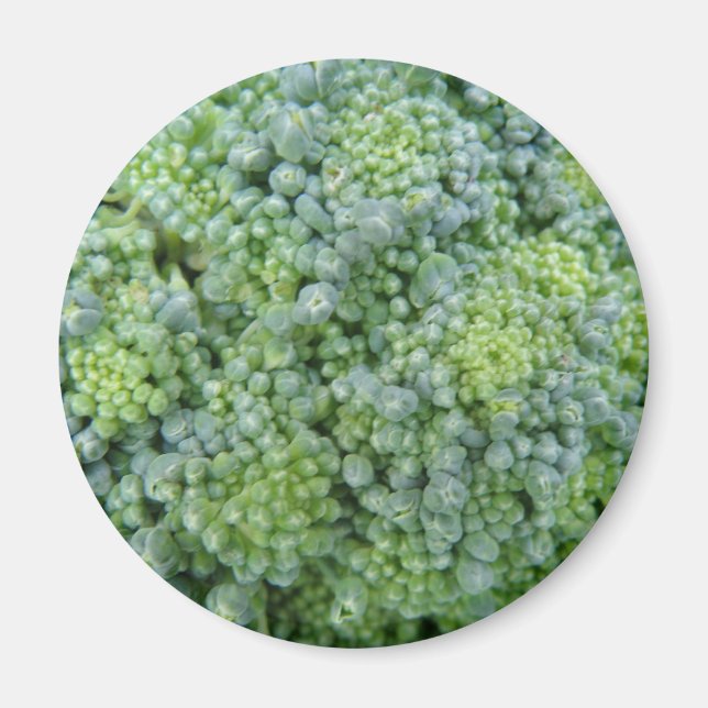 Broccoli Macro Magnet (Vorne)