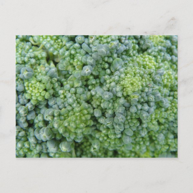 Broccoli Macro Postcard Postkarte (Vorderseite)