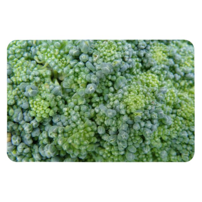 Broccoli Macro Premium Magnet (Horizontal)