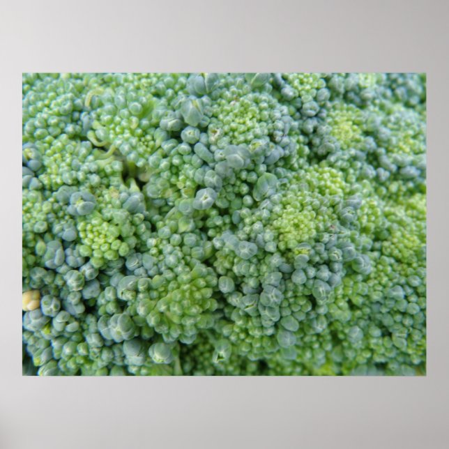 Broccoli Macro Print Poster (Vorne)