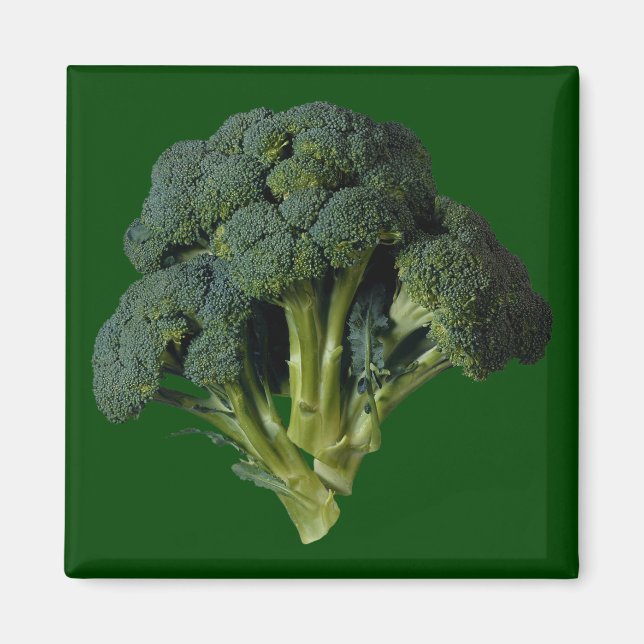 Broccoli Magnet (Vorne)