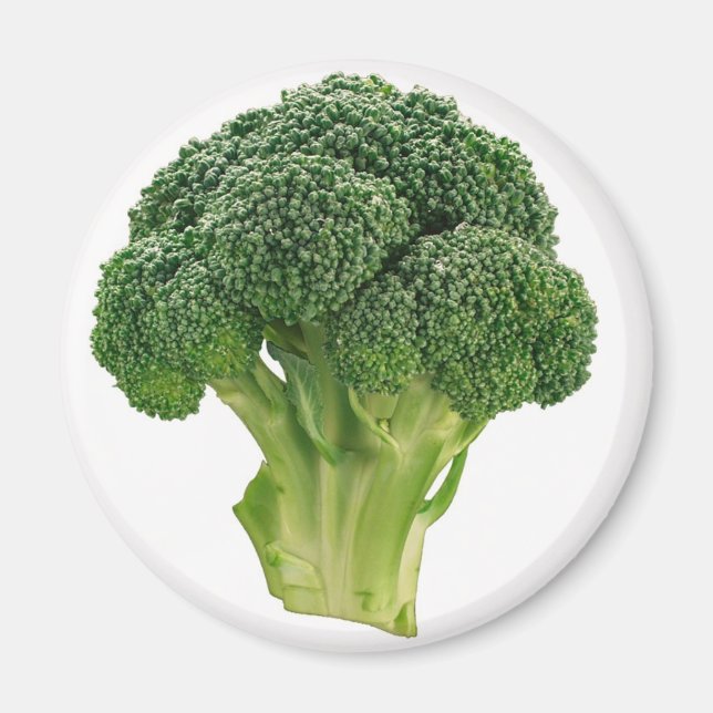 Broccoli Magnet (Vorne)