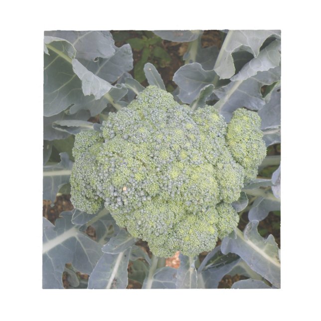 Broccoli Notepad Notizblock (Vorderseite)