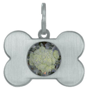 Broccoli Pet Tag Tiermarke