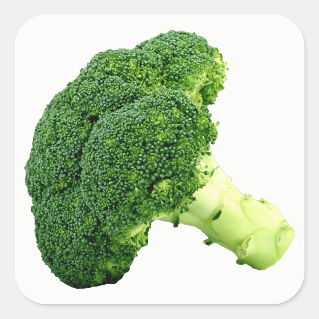 Broccoli Quadratischer Aufkleber (Vorderseite)