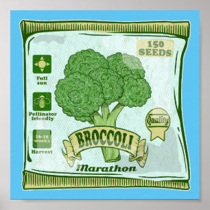 Broccoli Saatgut Gemüseanbau Poster
