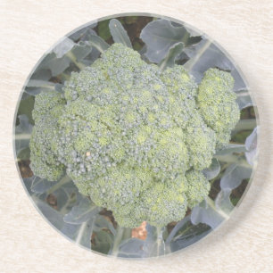 Broccoli Untersetzer