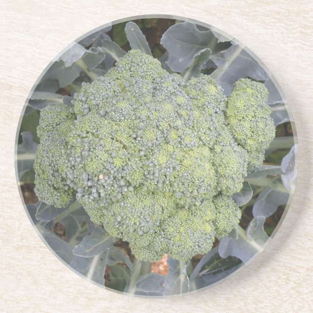 Broccoli Untersetzer (Vorne)