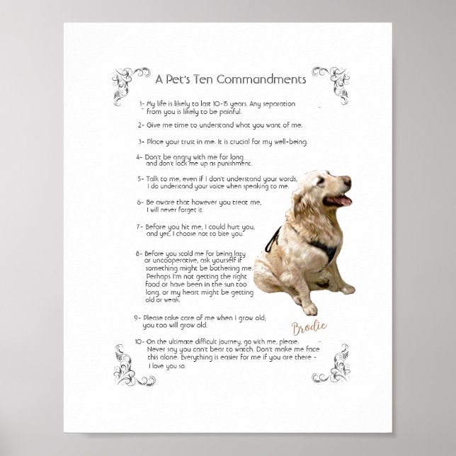 BRODIE - Poster (Vorne)