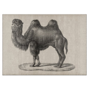Brodtmann Camel Sketch Schneidebrett