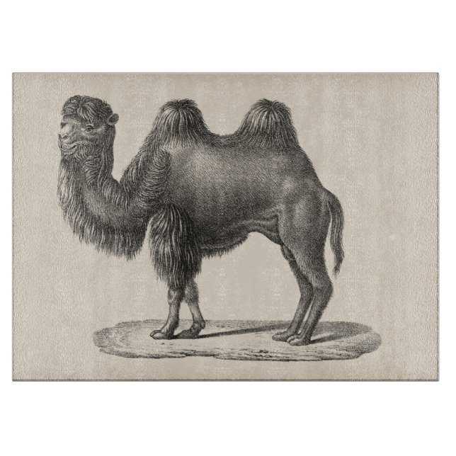 Brodtmann Camel Sketch Schneidebrett (Vorderseite)