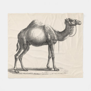 Brodtmann Dromedary Camel Sketch Fleecedecke