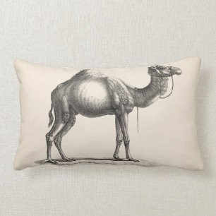 Brodtmann Dromedary Camel Sketch Lendenkissen