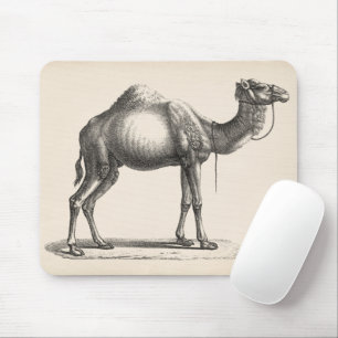 Brodtmann Dromedary Camel Sketch Mousepad