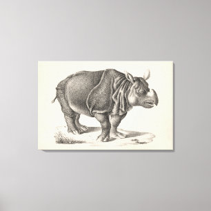 Brodtmann Rhinoceros Sketch Leinwanddruck