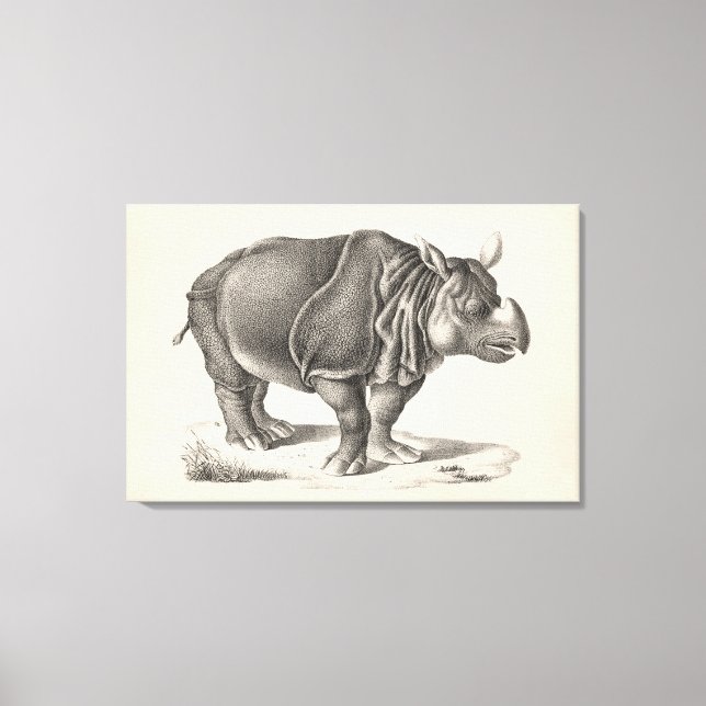 Brodtmann Rhinoceros Sketch Leinwanddruck (Vorderseite)