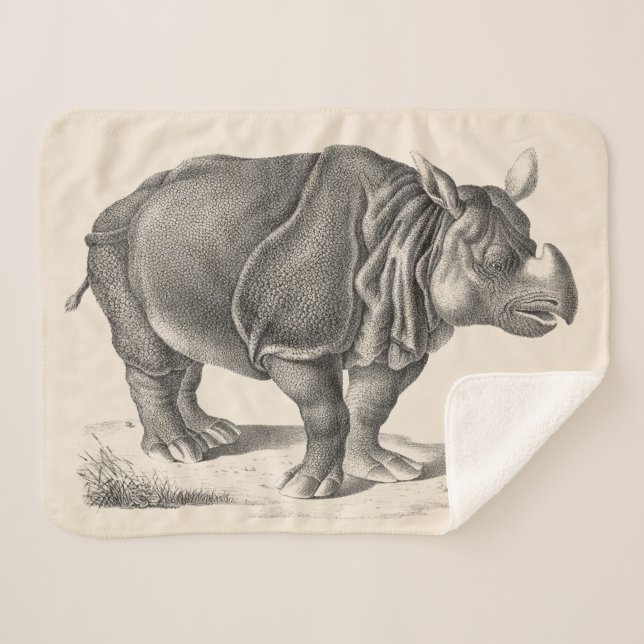 Brodtmann Rhinoceros Sketch Sherpadecke (Vorderseite (Horizontal))