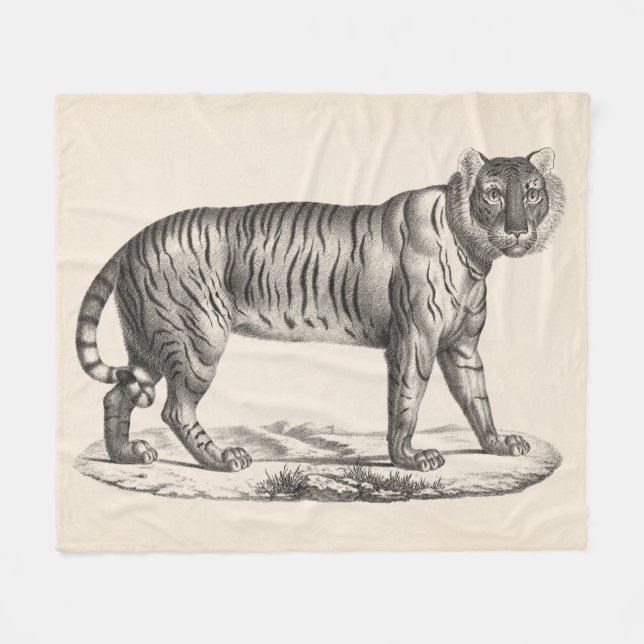 Brodtmann Tiger Sketch Fleecedecke (Vorderseite (Horizontal))