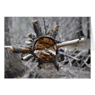 Broken Pine
