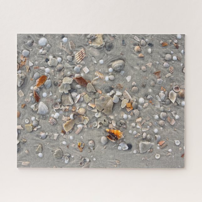 Broken Shells on Cape San Blas, Florida 16x20 Puzzle (Horizontal)