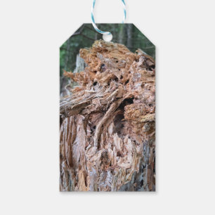 Broken Tree Gift Tags Geschenkanhänger