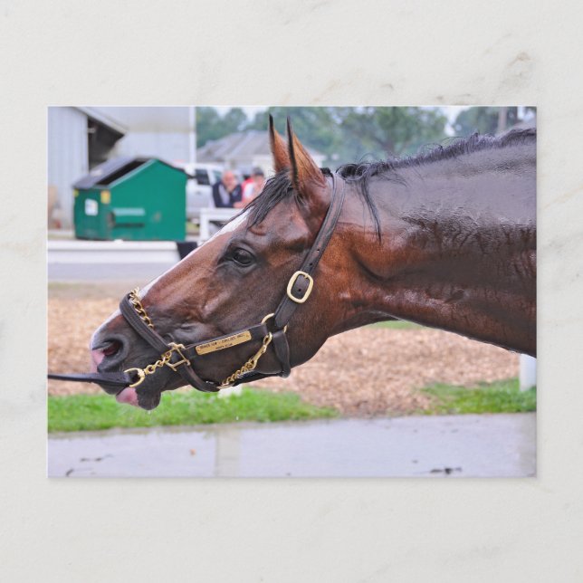 Broken Vow - Copelands Engel Colt Postkarte (Vorderseite)