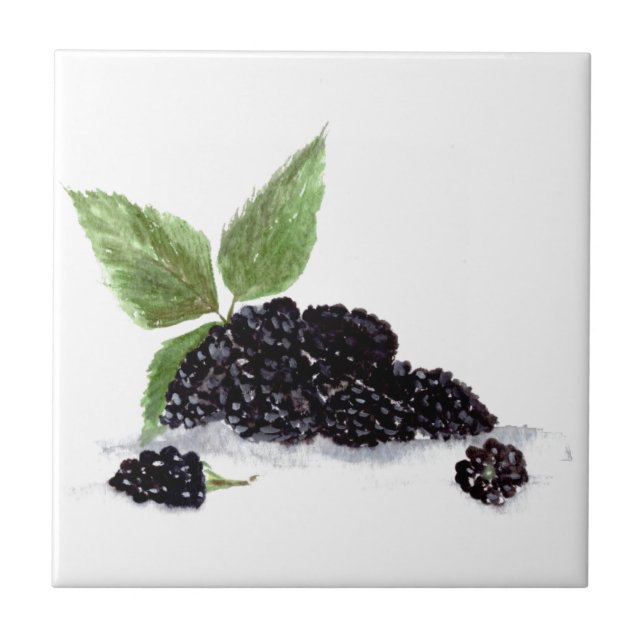 Brombeer Brombeeren Früchte Aquarell  Fliese (Vorderseite)