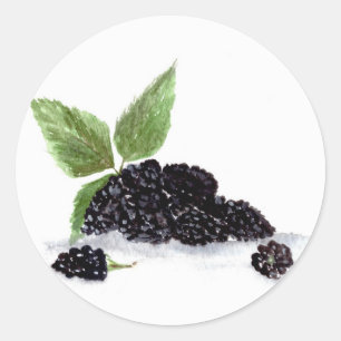 Brombeeren Früchte Wasserfarbe Beeren Essen Runder Aufkleber