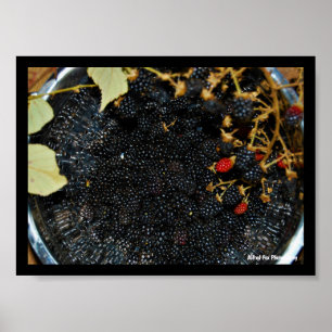 Brombeeren im Sieb Poster