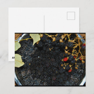 Brombeeren im Sieb Postkarte
