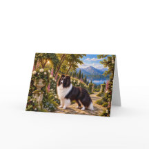 Brombeeren, Shetland-Schäferhund