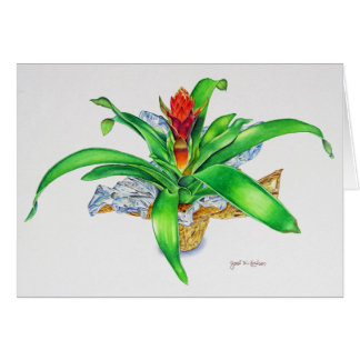 Bromeliad Aquarell