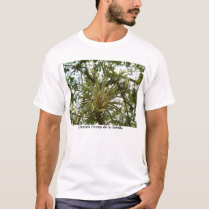 Bromeliad außerhalb Grutas De-La Estrella T-Shirt