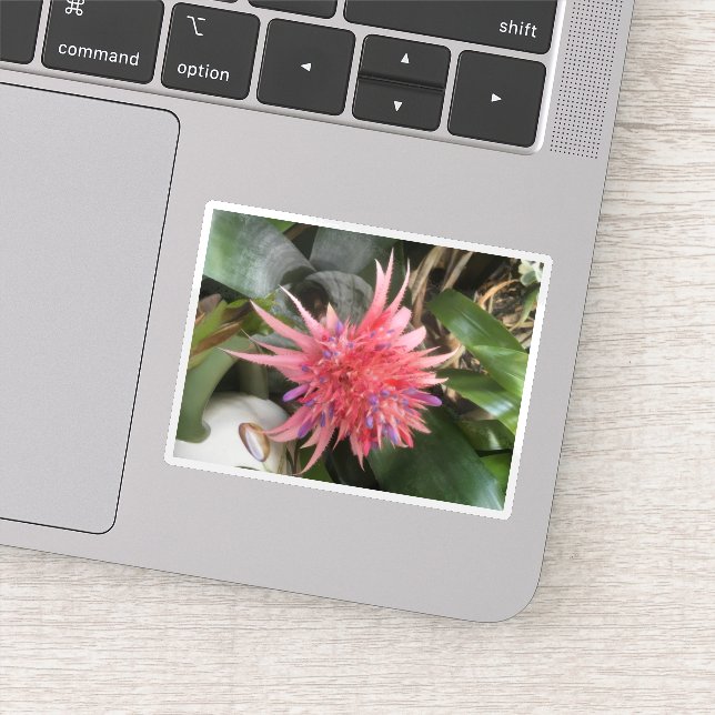 Bromeliad-Blume Aufkleber (Detail)