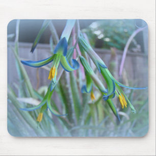 Bromeliad Blüten Mousepad