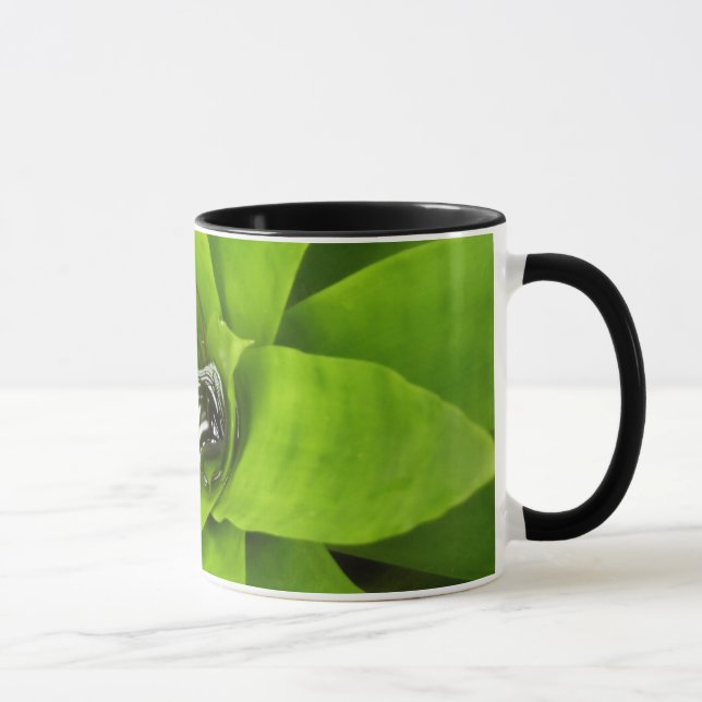 Bromeliad Green Botanical Fotografie Tasse (Rechts)