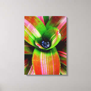 Bromeliad Leinwanddruck