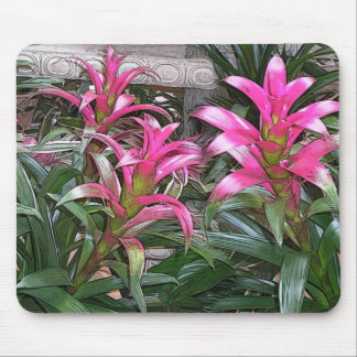 Bromeliad Mouspad Mousepad