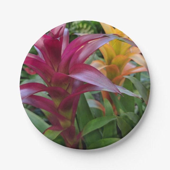 Bromeliad Paper Plate Pappteller (Vorderseite)