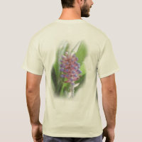 Bromeliad