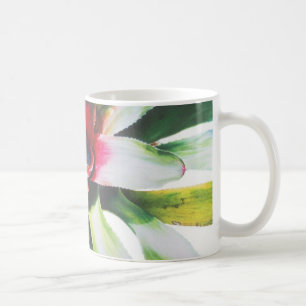 Bromeliad Tasse