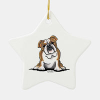 Bron in White English Bulldog Sit Hübsch