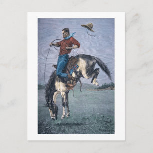 Bronco-Buster (farbige Gravierung) Postkarte